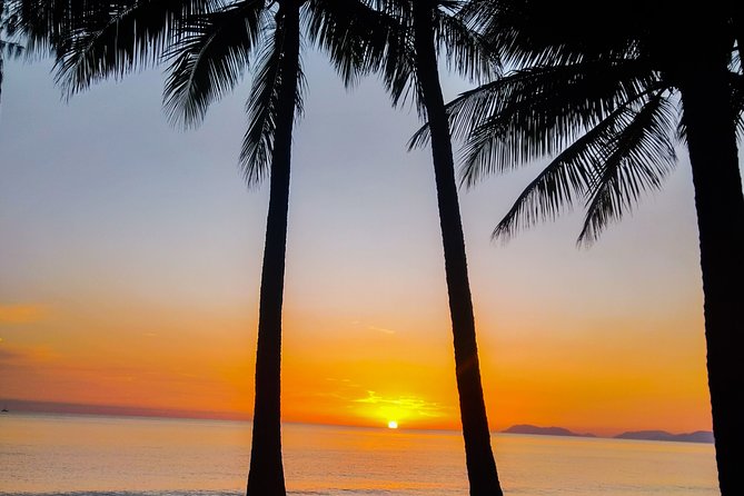 Airport Transfers Between Cairns Airport and Port Douglas - Common Questions