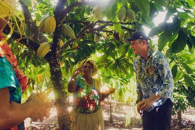 Airport Transfers from Honiara International Airport to Hotel - Who Should Book This Transfer?