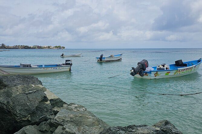Airport Transfers in Tobago to OR from Accommodation - Good To Know