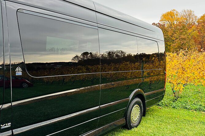 Airport Transportation, City and Winery Tours, Hourly As Directed - An Overview of the Experience