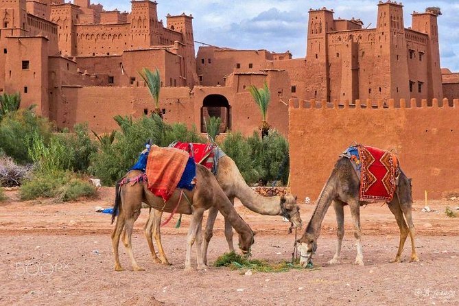 Ait Ben Haddou and Ouarzazate Day Trip From Marrakech - Tour Details