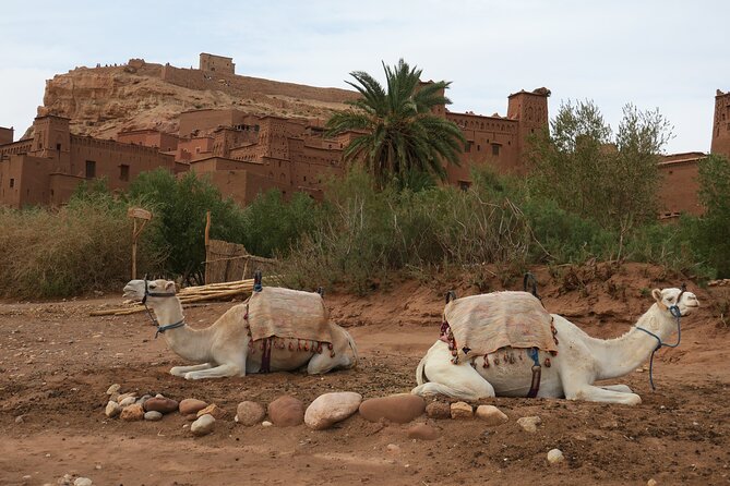 Ait Benhaddou and Telouet Kasbah Departing From Marrakech - Frequently Asked Questions