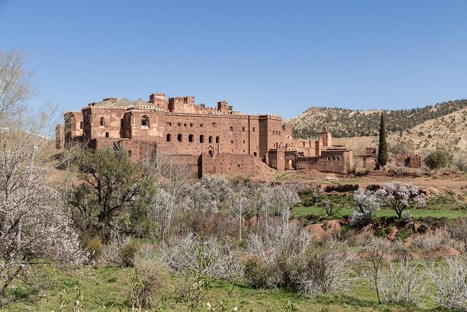 Ait Benhaddou Day Trip - Traveler Reviews