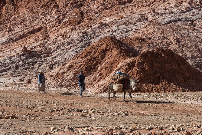 Ait Benhaddou Day Trip - Overall Rating