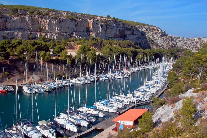 Aix En Provence and Cassis Full Day Private Tour - The Sum Up