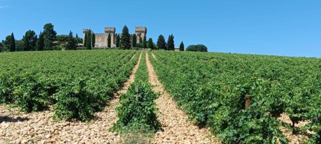 Aix-en-Provence: Avignon Tour & Chateauneuf-du-Pape Tasting - Common Questions