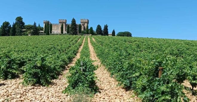 Aix-en-Provence: Avignon Tour & Chateauneuf-du-Pape Tasting - The Sum Up
