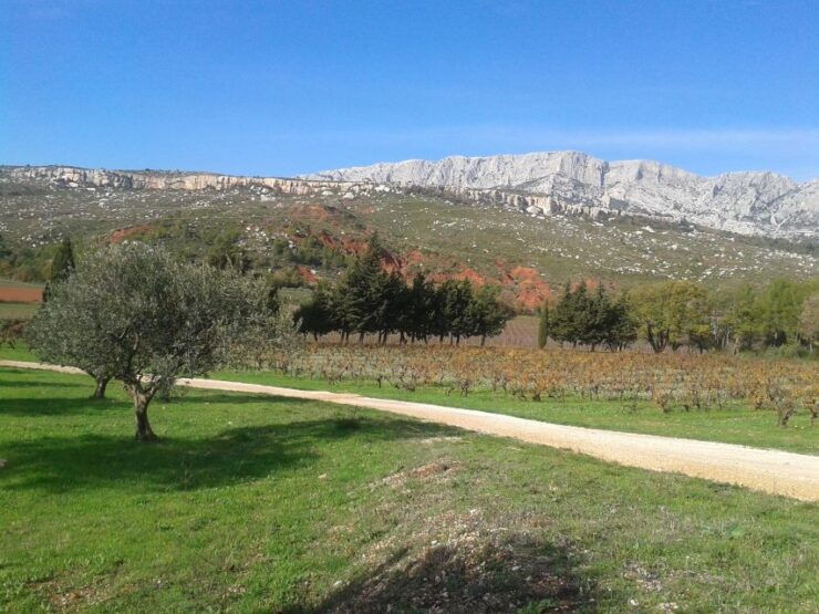 Aix-en-Provence City Tour & Wine Tour - Tour Details
