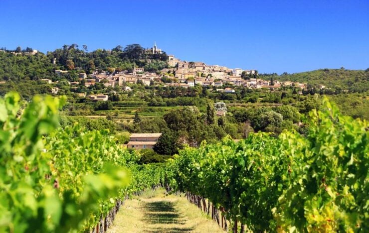 Aix-en-Provence: Half-Day Wine Tour - Tour Experience