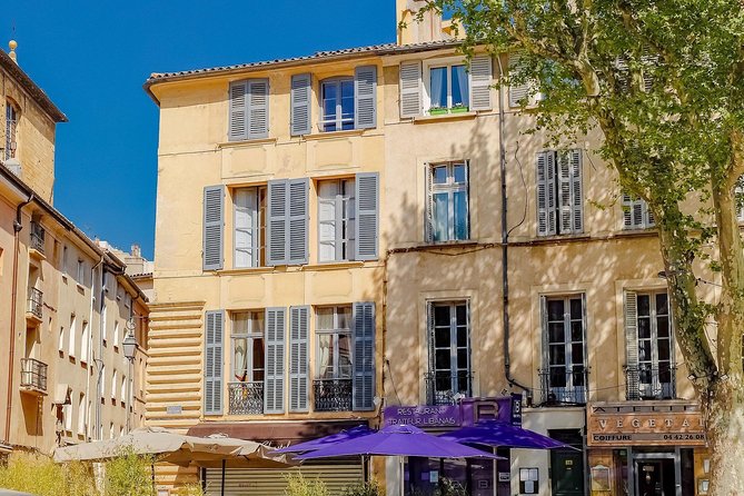 Aix-en-Provence: Private Walking Tour - Common Questions