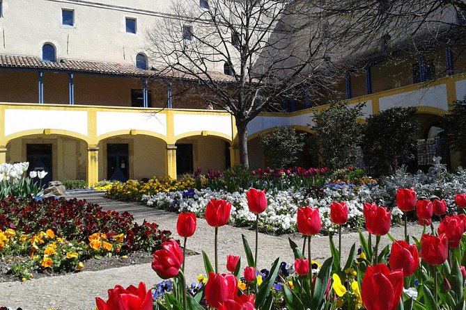 Aix-En-Provence Van Gogh Full-Day Trip With St Paul De Mausole - Positive Reviews