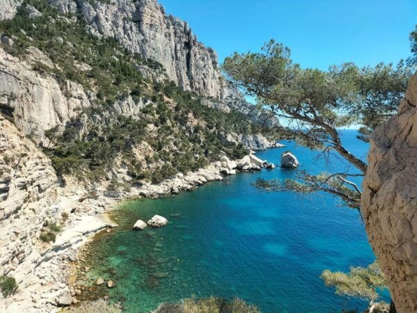Aix or Marseille: Full Calanques Boat Trip, Cassis & Wine - Questions You May Have