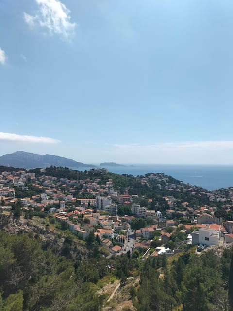 Aix or Marseille: Marseille & Wine Tour in Sainte Victoire - Panoramic Views From Notre Dame