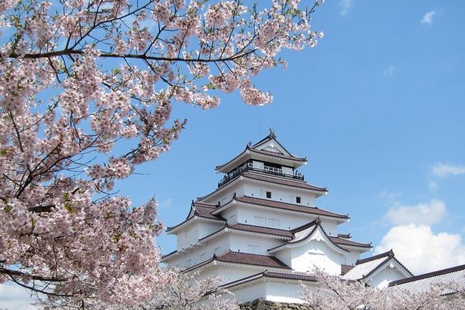 Aizu Full-Day Private Trip With Government-Licensed Guide - Tour Details