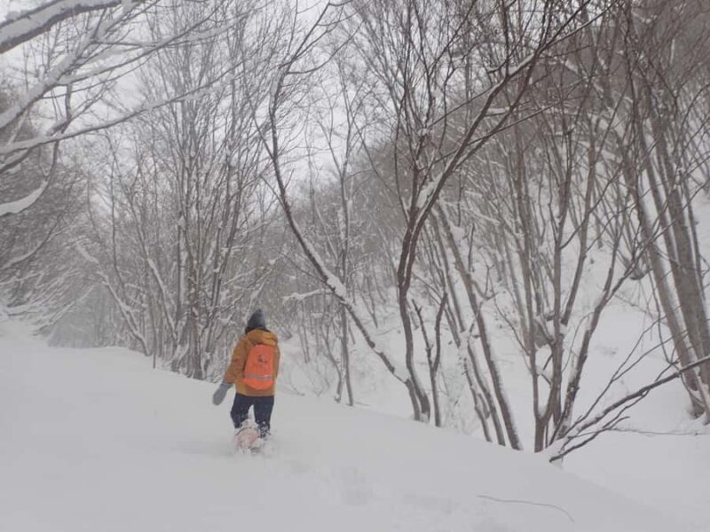 Aizu: Traditional Snowshoe Trek & Local Walnut Soba - Good To Know