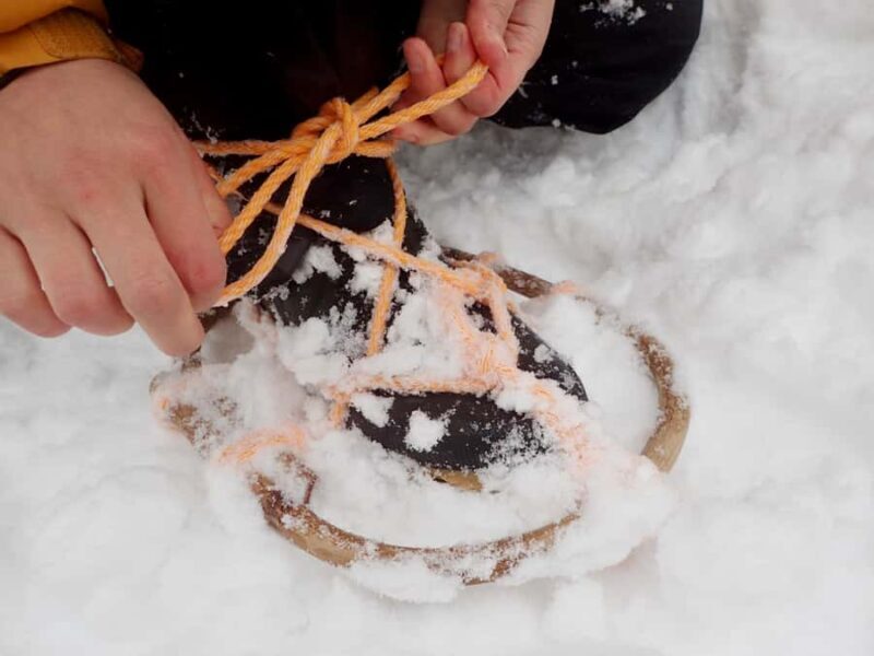 Aizu: Traditional Snowshoe Trek & Local Walnut Soba - The Unique Appeal of Snowshoeing in Japan