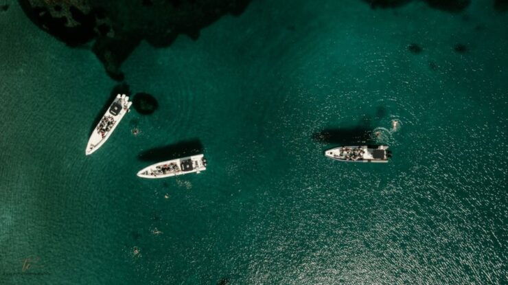 Ajaccio: Cruise to Sanguinaires Islands With Mezzu Mare Stop - Good To Know