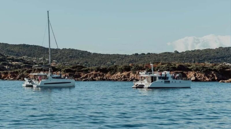 Ajaccio: Full-Day Private Catamaran Tour with Chez Francis - The Itinerary: What Makes Each Part of the Day Special