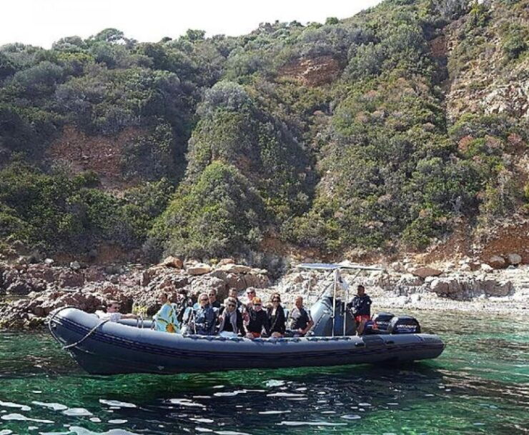 Ajaccio/Porticcio: Scandola and Calanches De Piana Day Trip - Experience Highlights