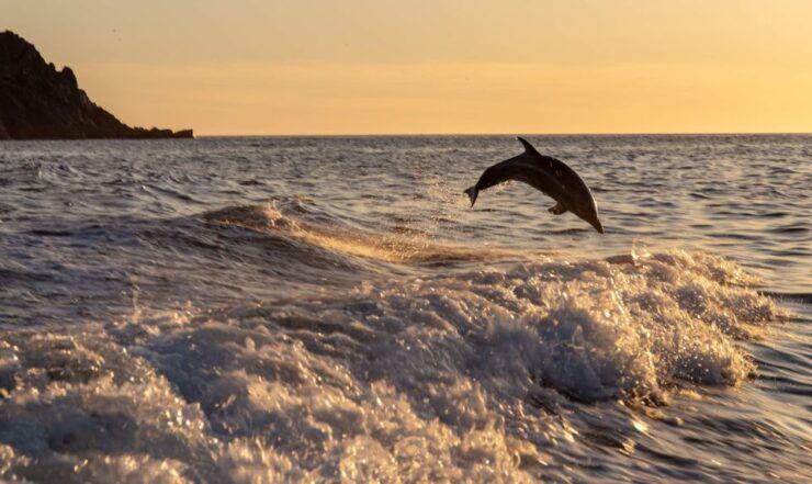 Ajaccio: Sunset Sea Trip to Sanguinaires Islands - Pricing and Duration