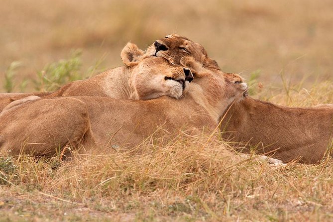 Akagera National Park Day Trip - Good To Know