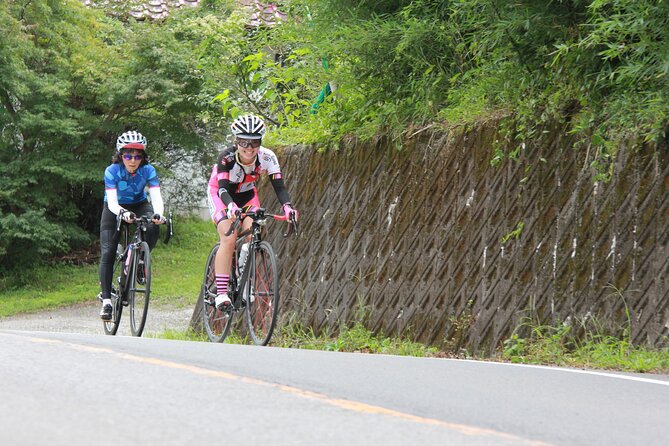 Akagi Mountain E-Bike Hill Climbing Tour - Exploring the Scenic Trails of Akagi Mountain