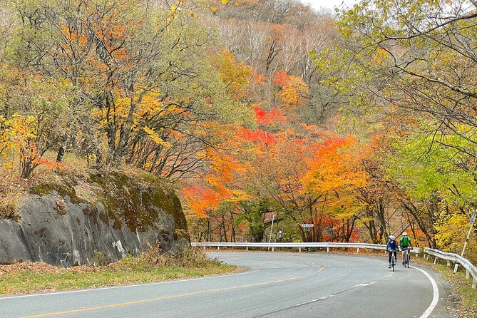 Akagi Mountain E-Bike Hill Climbing Tour - Enjoying the Panoramic Views From the Summit