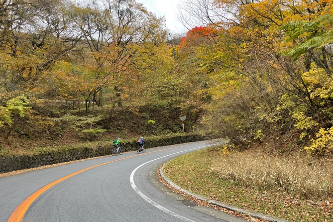 Akagi Mountain E-Bike Hill Climbing Tour - Common Questions