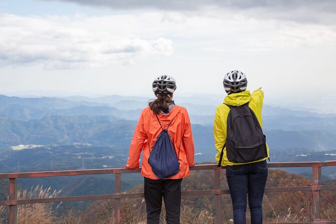 Akagi Summit Lakeshore E-Bike Food Tour - Tour Details