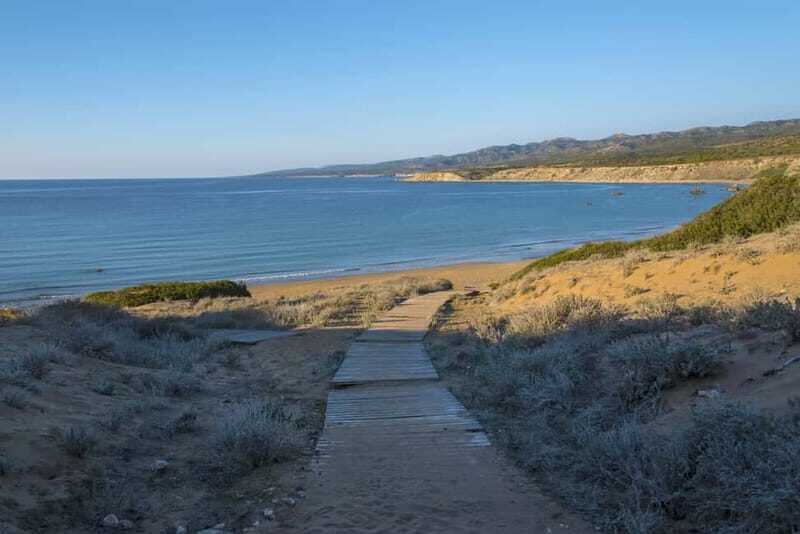 Akamas Jeep Safari Tour from Paphos - An In-Depth Look at the Akamas Jeep Safari