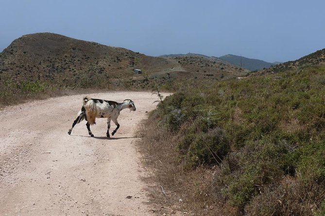 Akamas Panorama (Short) Walk - (Private From Limassol) - Cancellation Policy