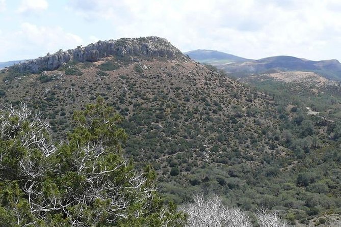 Akamas Panorama (Short) Walk - (Private From Limassol) - Pricing Details