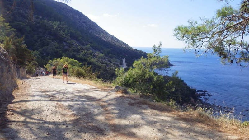 Akamas Panorama Walk (usually Adonis&Aphrodite combo) - The Experience Provider and Tour Atmosphere