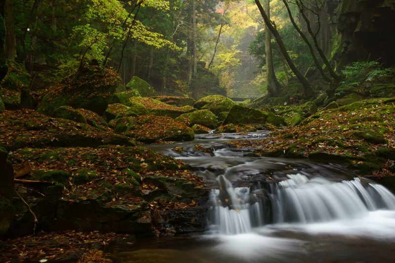 Akame 48 Watefalls / Ninja Training Experience in Mie - What the trail is like, from entrance to upper falls