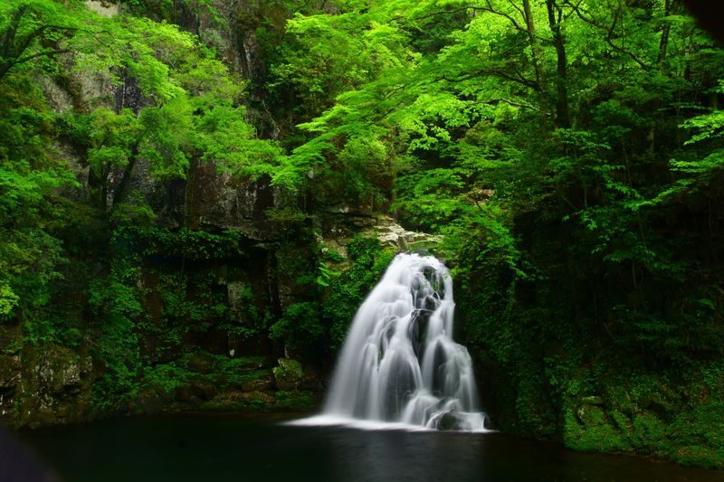 Akame 48 Watefalls / Ninja Training Experience in Mie - When to visit, and how late the light-up runs