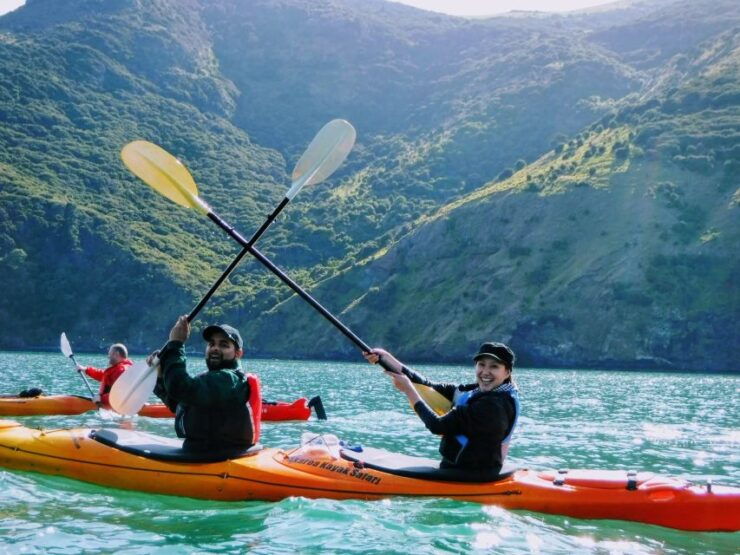 Akaroa: 2.5-3-Hour Guided Sunrise Sea Kayaking Safari - Experience Highlights