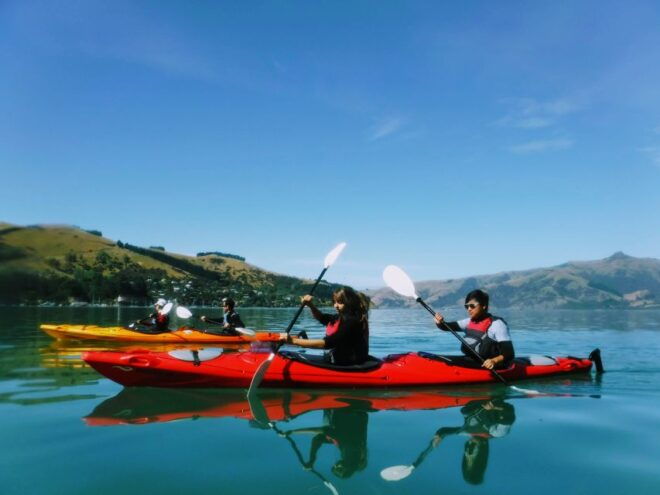 Akaroa: 2.5-3-Hour Guided Sunrise Sea Kayaking Safari - Similar Activities