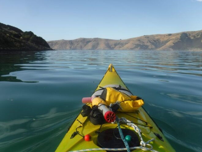 Akaroa: 2.5-3-Hour Guided Sunrise Sea Kayaking Safari - Customer Reviews