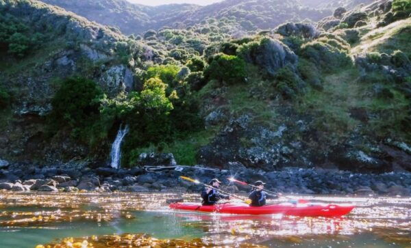 Akaroa: 2.5-3-Hour Guided Sunrise Sea Kayaking Safari - Directions
