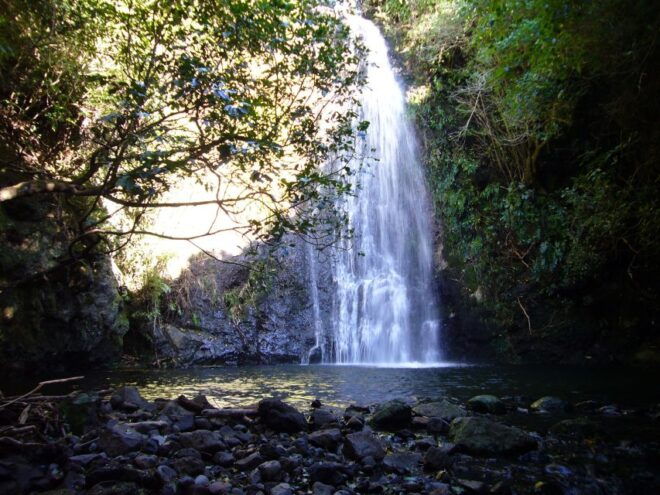 Akaroa: 24-hour Overnight Pohatu Penguin Package - Directions