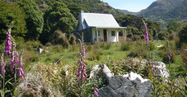 Akaroa: 24-hour Overnight Pohatu Penguin Package - The Sum Up