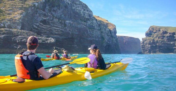 Akaroa: 4WD Safari and Guided Sea-Kayaking Experience - Experience Highlights