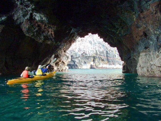 Akaroa: 4WD Safari and Guided Sea-Kayaking Experience - Related Activities