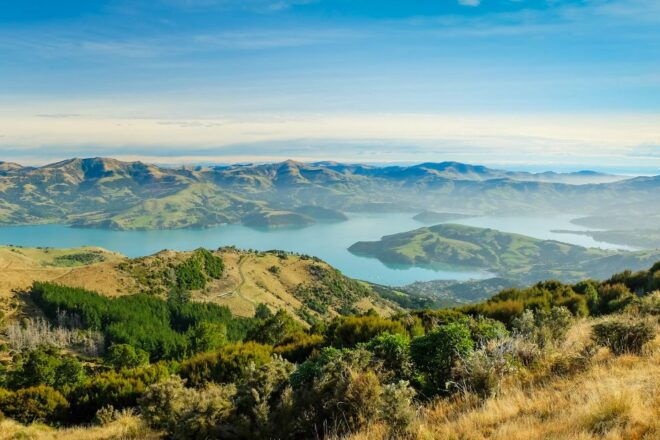 Akaroa: 4WD Safari and Guided Sea-Kayaking Experience - Customer Reviews