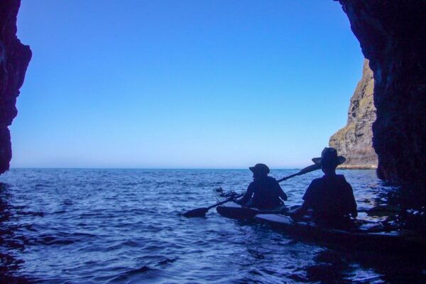 Akaroa: 4WD Safari and Guided Sea-Kayaking Experience - Common Questions