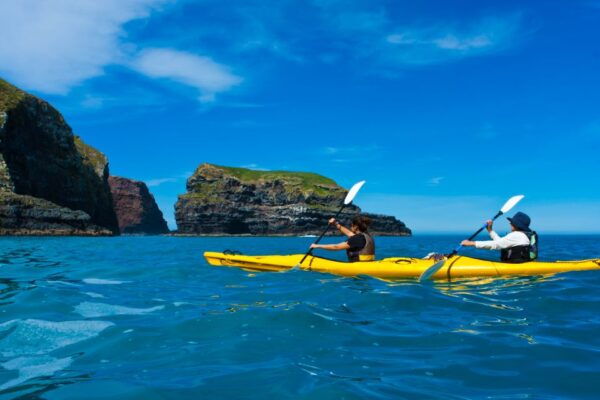 Akaroa: 4WD Safari and Guided Sea-Kayaking Experience - The Sum Up