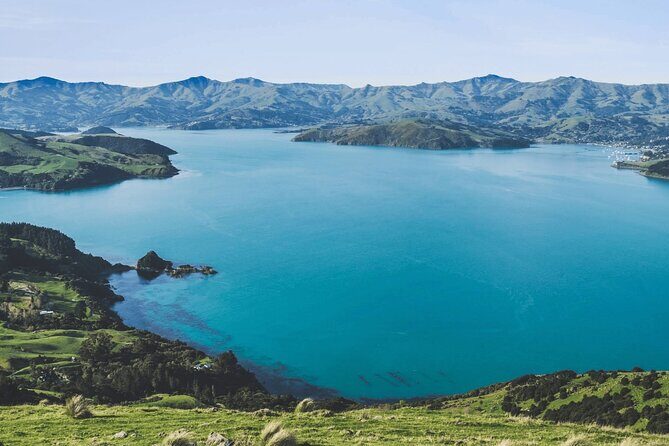 Akaroa and Akaroa Dolphins Day Tour - An In-Depth Look at the Akaroa and Akaroa Dolphins Day Tour