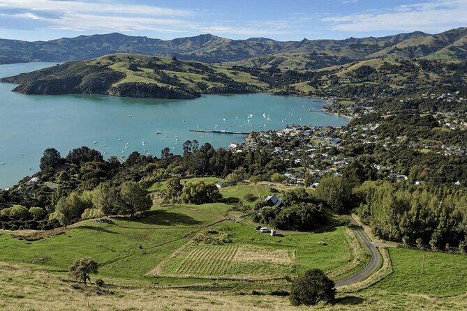 Akaroa and Akaroa Dolphins Day Tour - Final Thoughts