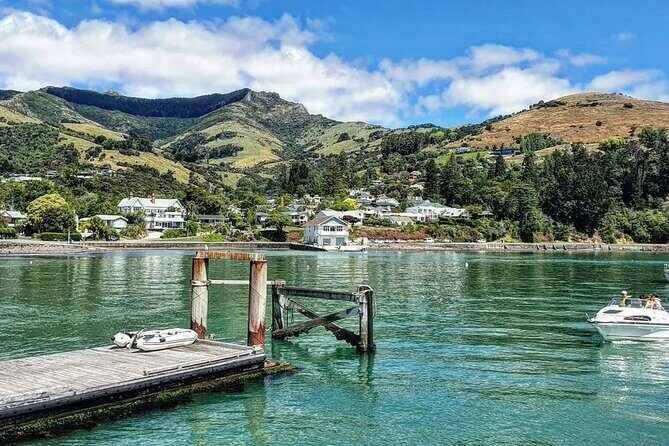 Akaroa and Akaroa Dolphins Day Tour - FAQ