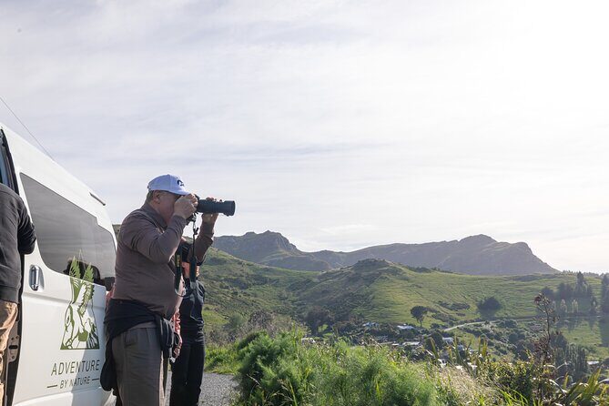 Akaroa and Banks Peninsula From Christchurch (Private Tour) - Exploring the Itinerary in Detail